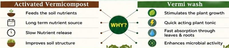 activated-vermicompost-vs-vermiwash-infographic